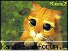 deci va rog frumos  ;)  :d  =(  :rotfl:  :rotfl:  :rotfl:  :rotfl:  :rotfl:  :rotfl:  :rotfl: