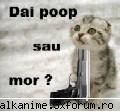 funny pics uite una sweat administrator
