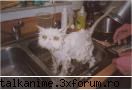 funny pics uite una sweat administrator