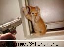 funny pics iar alta sweat administrator