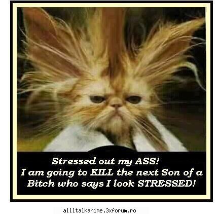 funny pics asta: Death Administrator